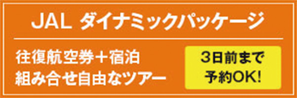 JAL ダイナミックパッケージ