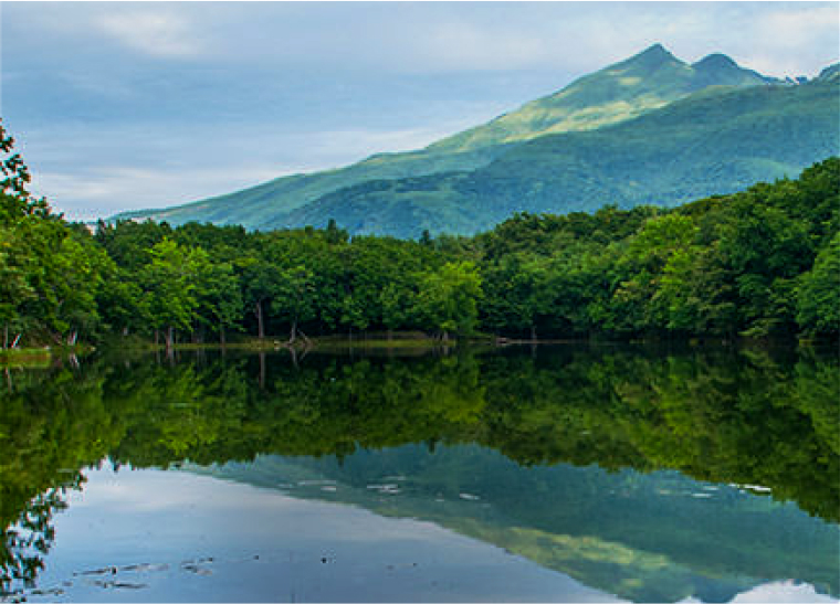 知床の楽しみ方