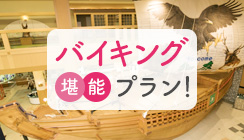 マルスコイバイキングプラン