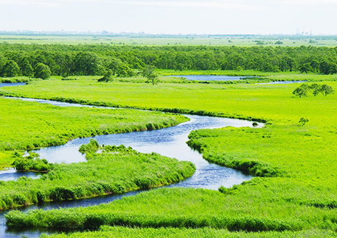 釧路&阿寒湖観光