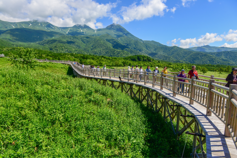 知床五湖の遊歩道