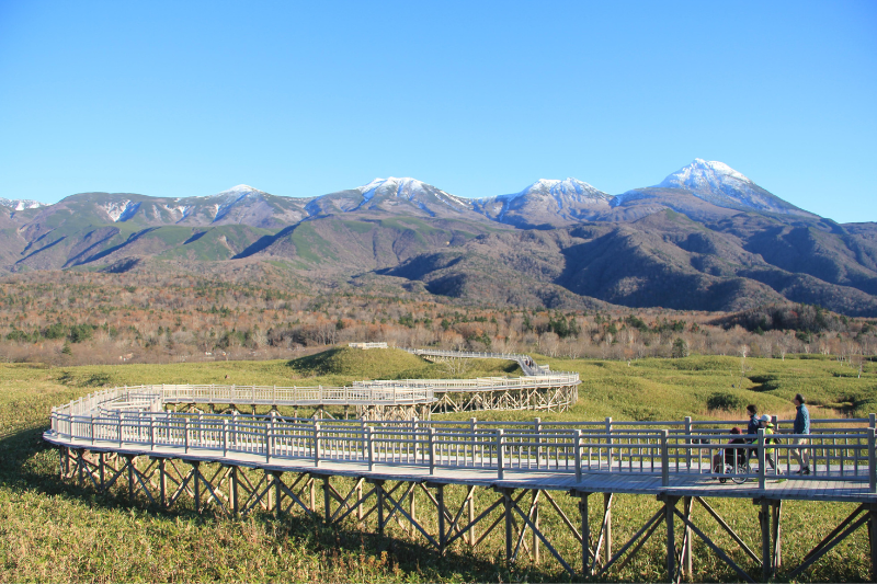 知床五湖の木道