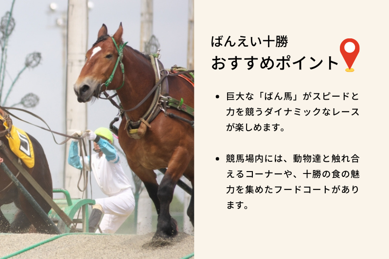 ばんえい十勝(帯広競馬場) おすすめポイント、巨大な「ばん馬」がスピードと力を競うダイナミックなレースが楽しめます。競馬場内には、動物達と触れ合えるコーナーや、十勝の食の魅力を集めたフードコートがあります。