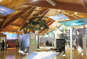 知床世界遺産センター