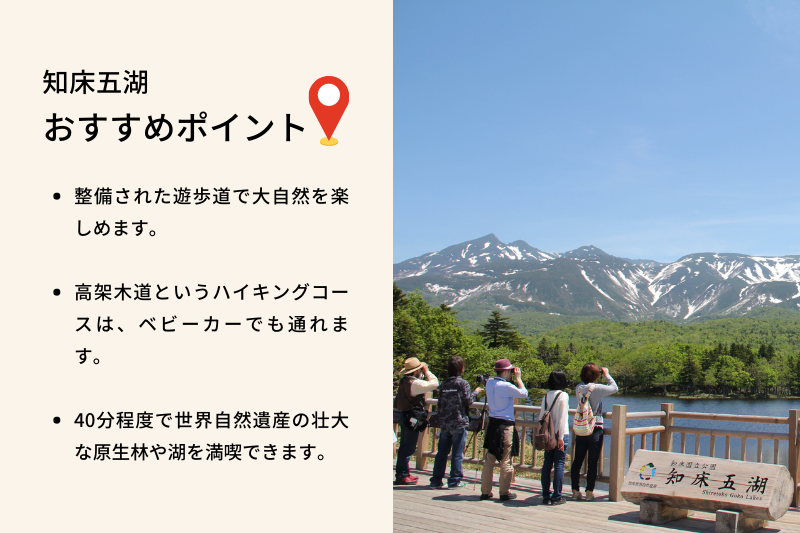 おすすめポイントは、整備された遊歩道です。高架木道というハイキングコースは、ベビーカーも通れる道で、40分程度で、世界自然遺産の壮大な原生林や湖が満喫できます。