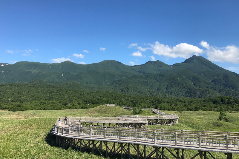 知床五湖の高架木道