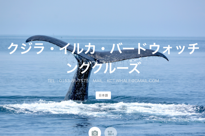 クルーズ　ゴジラ岩観光
