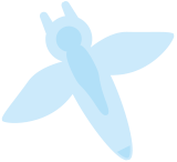 流氷を楽しむ旅